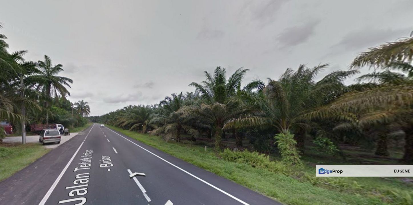 Teluk Intan, Bidor @ Perak, Freehold Agriculture Land For Sale, Perak, Teluk Intan