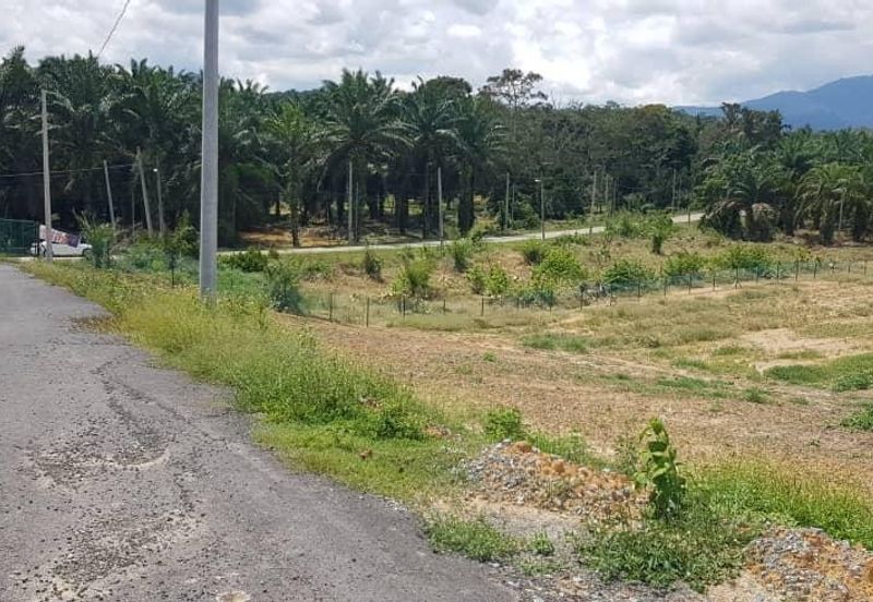 Bentong, Karak @ Pahang, Freehold Agriculture Land For Sale