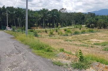 Bentong, Karak @ Pahang, Freehold Agriculture Land For Sale