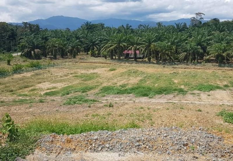 Bentong, Karak @ Pahang, Freehold Agriculture Land For Sale