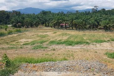 Bentong, Karak @ Pahang, Freehold Agriculture Land For Sale