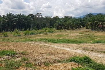 Bentong, Karak @ Pahang, Freehold Agriculture Land For Sale