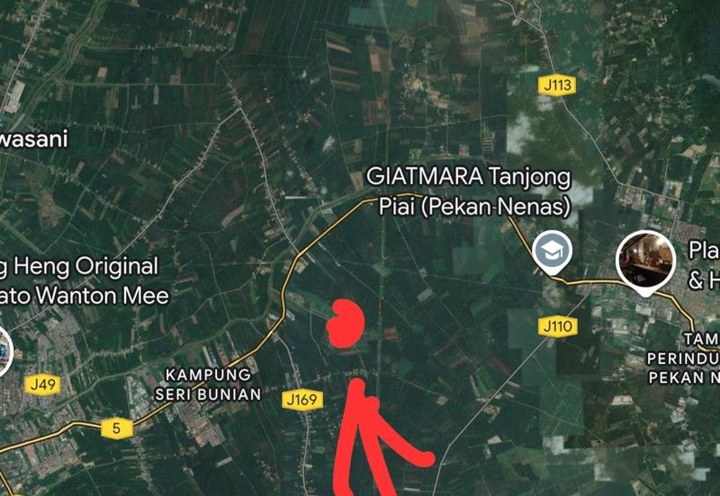 Skudai Pontian @ Johor Bahru, Johor, Freehold Agriculture Land For Sale