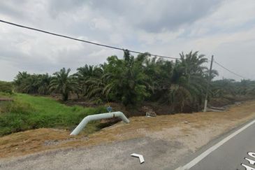 Skudai Pontian @ Johor Bahru, Johor, Freehold Agriculture Land For Sale