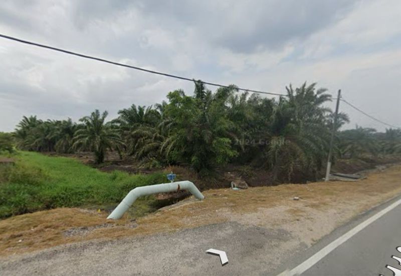 Skudai Pontian @ Johor Bahru, Johor, Freehold Agriculture Land For Sale