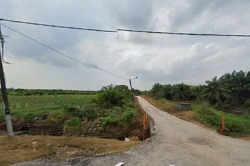 Skudai Pontian @ Johor Bahru, Johor, Freehold Agriculture Land For Sale