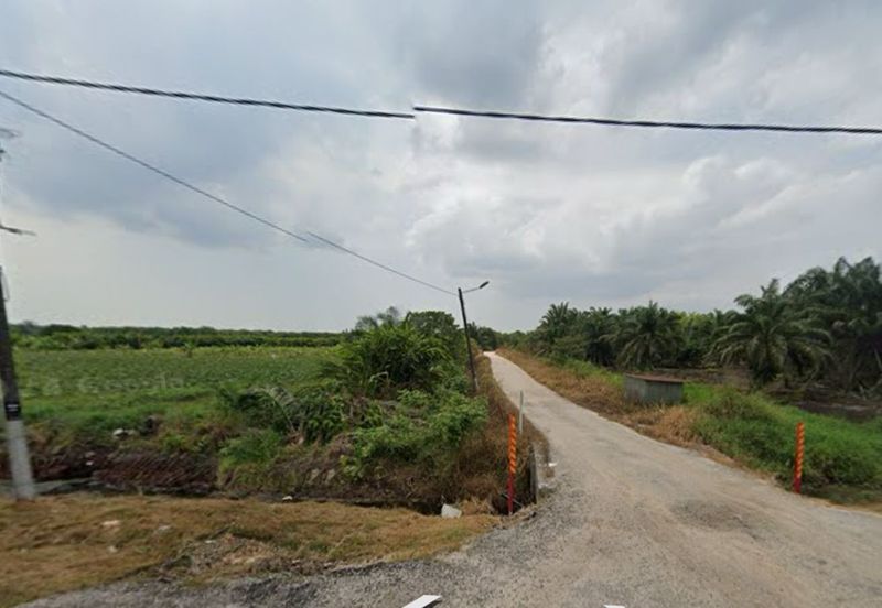 Skudai Pontian @ Johor Bahru, Johor, Freehold Agriculture Land For Sale