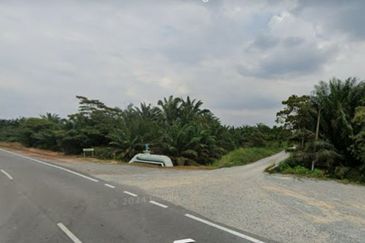 Skudai Pontian @ Johor Bahru, Johor, Freehold Agriculture Land For Sale