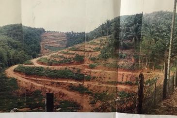 Seberang Perai Utama