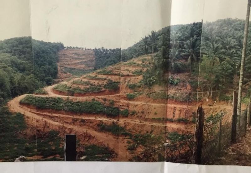 Seberang Perai Utama