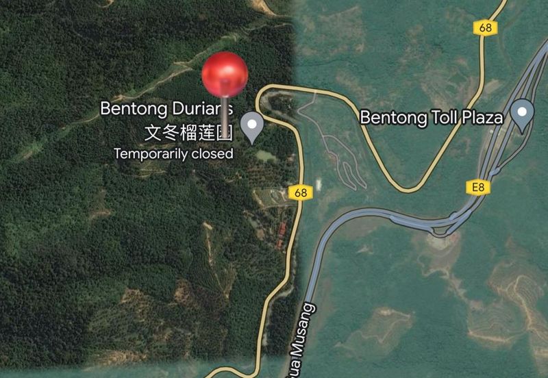 Bukit Tinggi @ Bentong, Pahang Agricultural Land For Sale