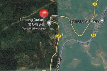 Bukit Tinggi @ Bentong, Pahang Agricultural Land For Sale