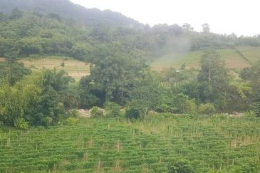 Bukit Tinggi @ Bentong, Pahang Agricultural Land For Sale