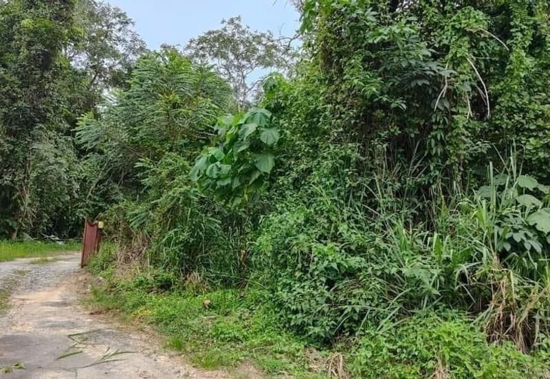 Bukit Tinggi @ Bentong, Pahang Agricultural Land For Sale