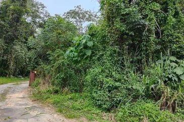 Bukit Tinggi @ Bentong, Pahang Agricultural Land For Sale