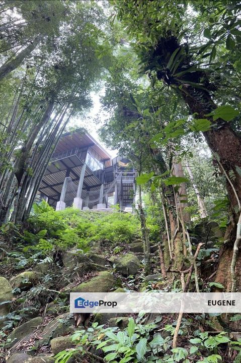 3 Acre Resort, Tanarimba @ Janda Baik, Bukit Tinggi For Sale, Pahang, Bentong