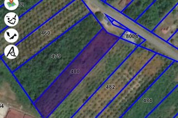 Port Dickson @ Negeri Sembilan Linggi Agriculture Land For Sale