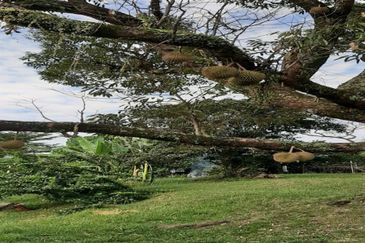 Kampung Baru Sungai Buloh