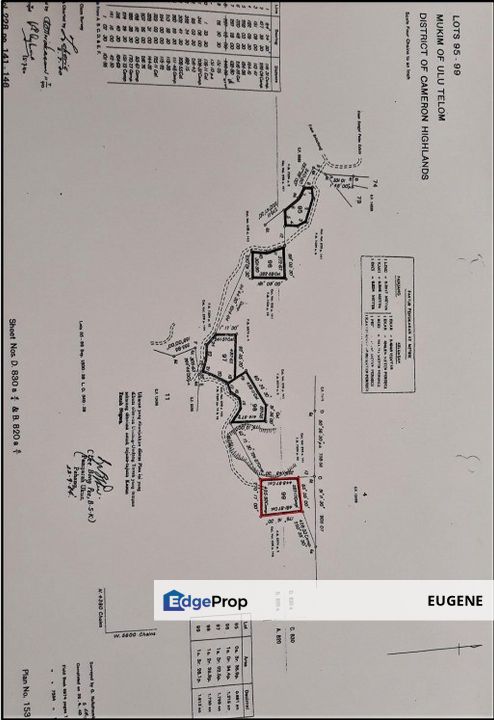 Cameron Highlands, Pahang, Brinchang