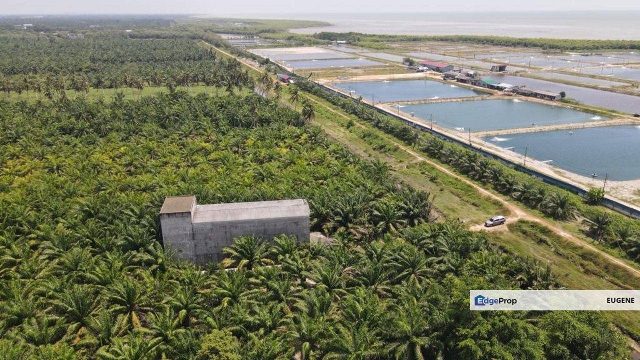 Sungai Burung, Bagan Tengkorak @ Tanjung Karang, Selangor, Shah Alam