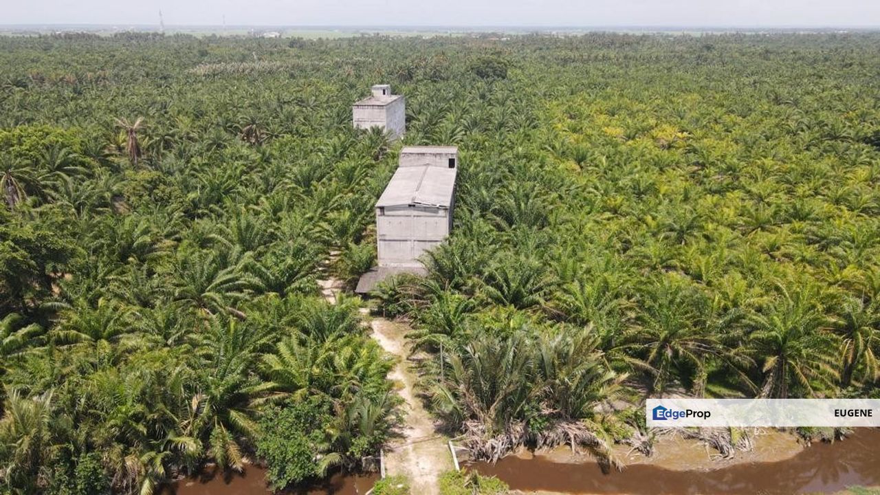 Sungai Burung, Bagan Tengkorak @ Tanjung Karang, Selangor, Shah Alam