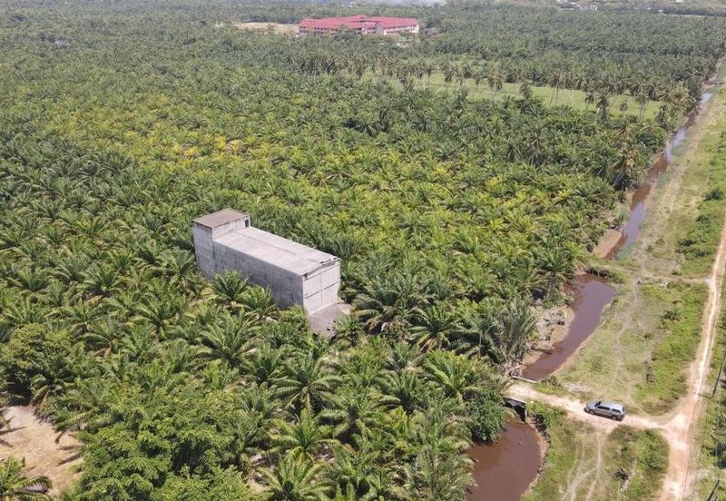 Jalan Sungai Burung, Bukit Rimau