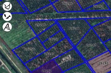 Jalan Sungai Burung, Bukit Rimau