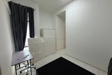 The Rainforest @ Eco Tropics