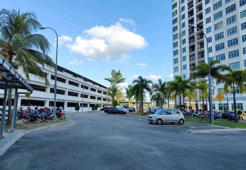 Eastbay Luxury Apartment