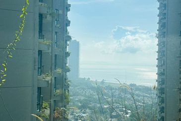 Regalia Park @ Forest City