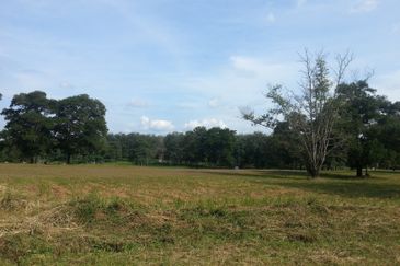 COLLEGE HEIGHTS GARDEN RESORT (PAJAM)