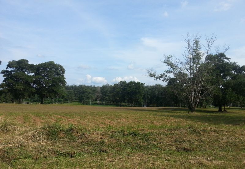 COLLEGE HEIGHTS GARDEN RESORT (PAJAM)