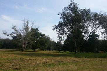 COLLEGE HEIGHTS GARDEN RESORT (PAJAM)