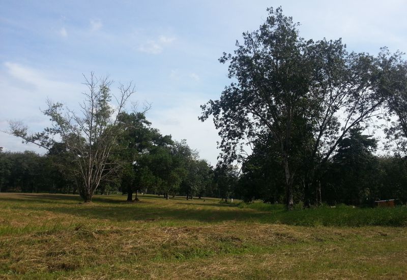 COLLEGE HEIGHTS GARDEN RESORT (PAJAM)