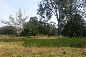 COLLEGE HEIGHTS GARDEN RESORT (PAJAM)