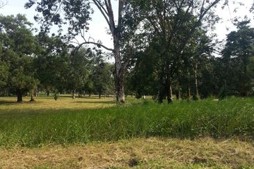 COLLEGE HEIGHTS GARDEN RESORT (PAJAM)