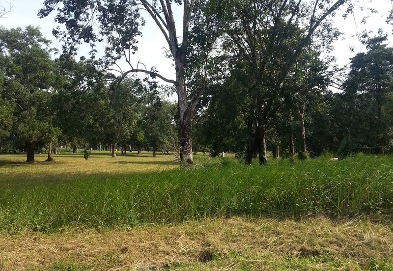 COLLEGE HEIGHTS GARDEN RESORT (PAJAM)