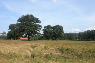 COLLEGE HEIGHTS GARDEN RESORT (PAJAM)