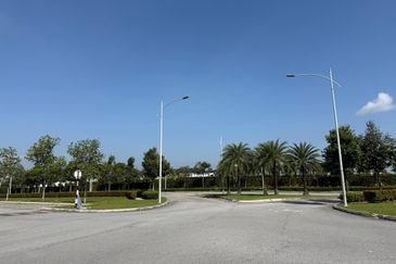 Whitten Eco Majestic