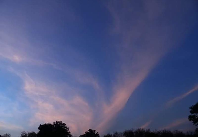 College Heights Garden Resort