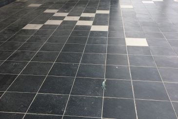 Whitten Eco Majestic