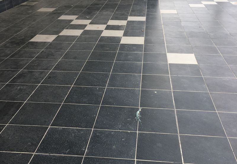 Whitten Eco Majestic