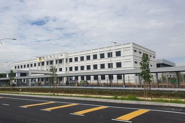 Whitten Eco Majestic