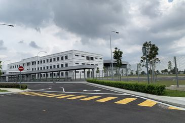 Whitten Eco Majestic