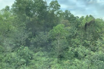 Bandar Sungai Long Bukit Sungai Long 1 / 5  Corner Lot Nearby Playground Well Kept Big Space 46 x 86  Below Market