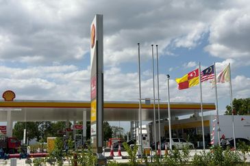 Brighton @ Eco Majestic