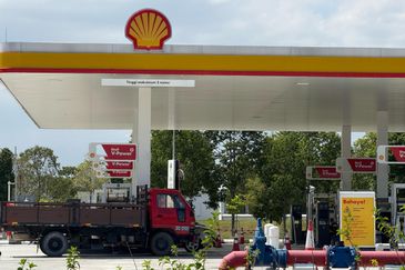 Brighton @ Eco Majestic