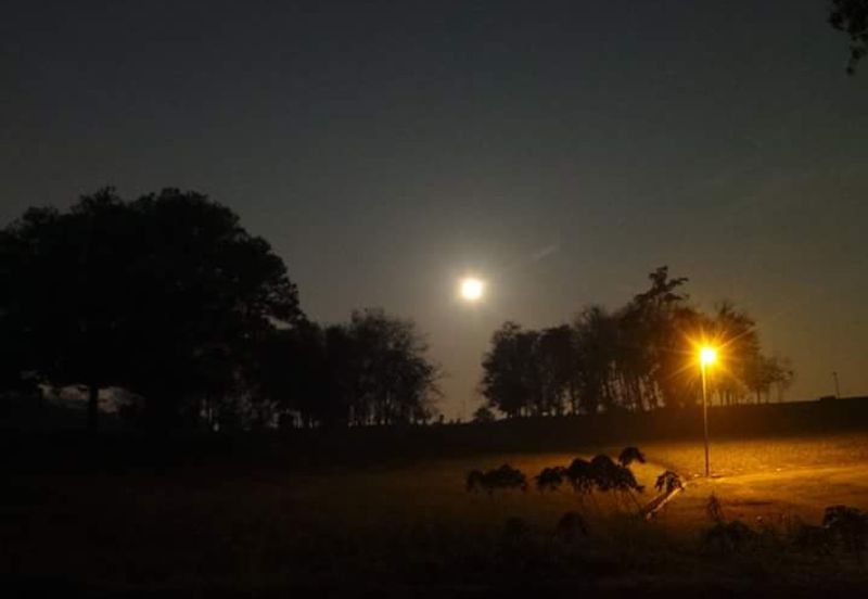 COLLEGE HEIGHTS GARDEN RESORT (PAJAM)