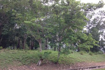 COLLEGE HEIGHTS GARDEN RESORT (PAJAM)