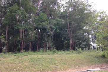 COLLEGE HEIGHTS GARDEN RESORT (PAJAM)